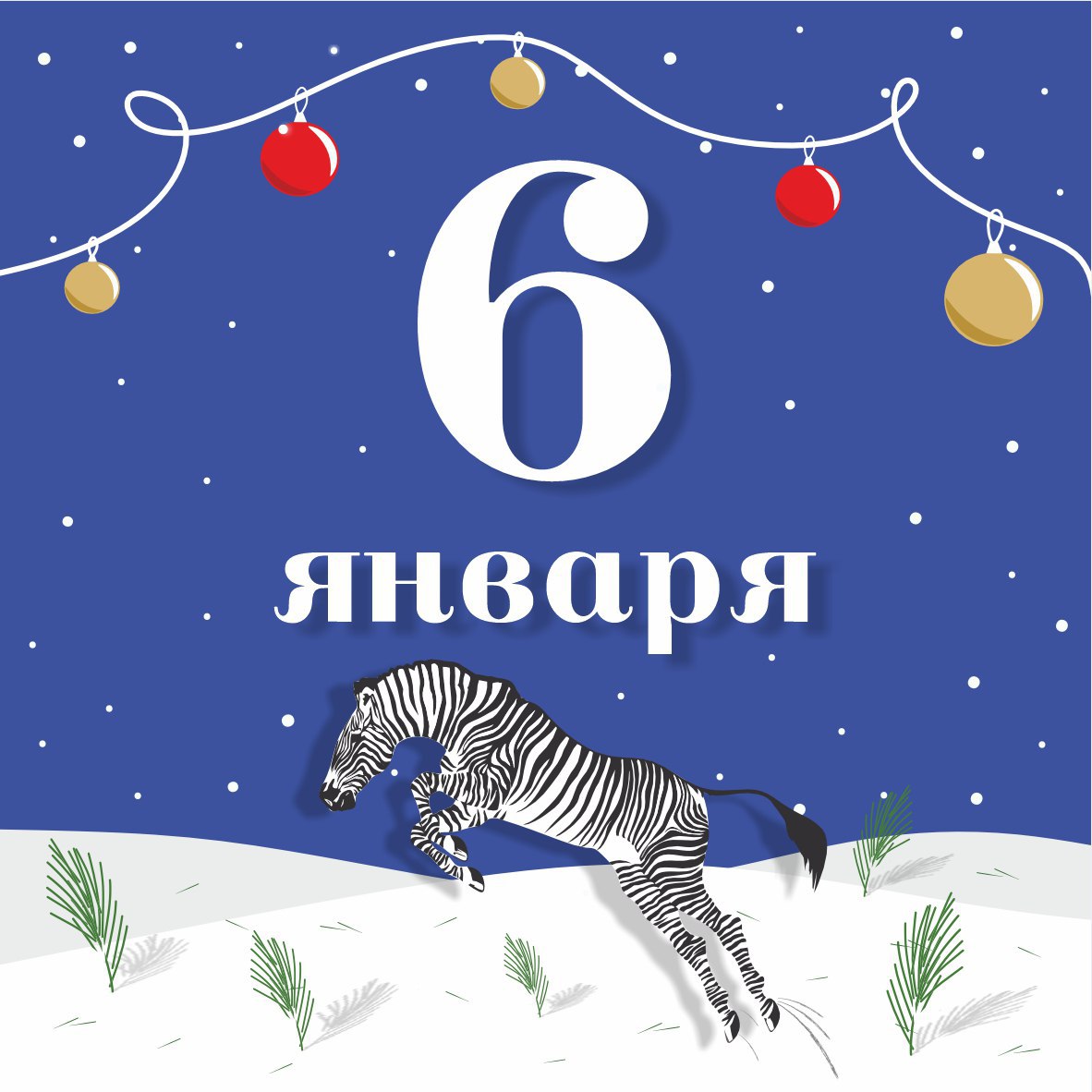 Калининградский зоопарк опубликовал афишу мероприятий на сегодняшний день