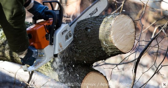 ������� �������� �������� ����� ����� �� ������� ����������� ���� � ��������