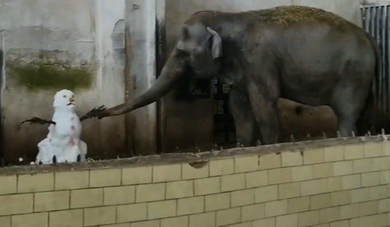 ������������ ��������� � ������� �� �������� ��������