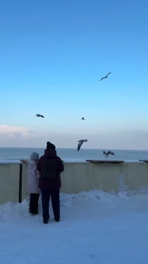 �����, ����, ����������� ��� ���� � �����, ������� ������ ���� � ���