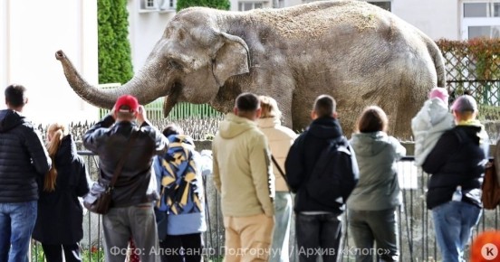 � �������� ������������ ������ ������� �������