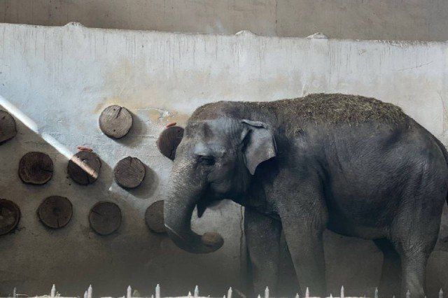 � ��������������� �������� ���������� � ������ ��������� ������� �������