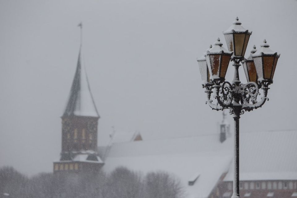 � ��������������� ������� ���� ������ ��������� � 20-��������� ������