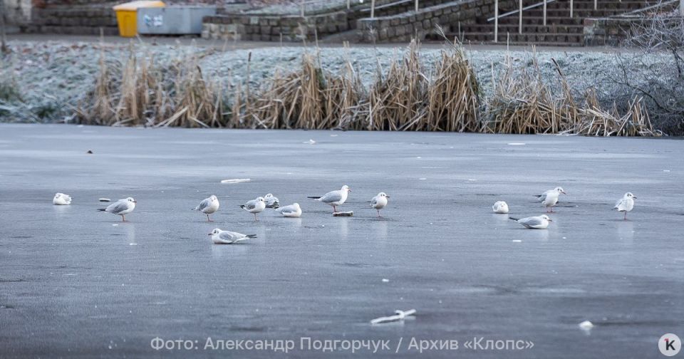 ������� ����� � �����: ������ � ������������ � ������� � �����, 7 ������