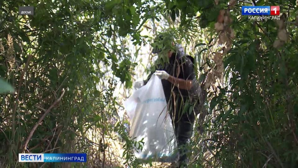 ����� 18 ���������� ������ ������� � ����� ���� ������������� �����������, ������� ������� � 2025 ���� � ������ ����� ����� ������