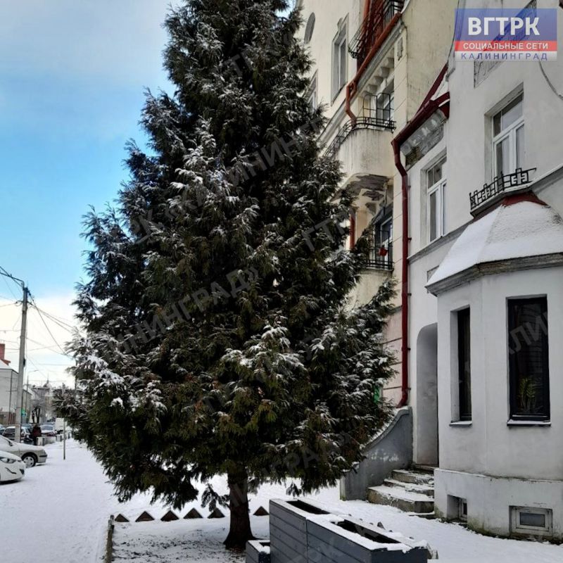 ������� ���� � ��������.. � ����������, ������!