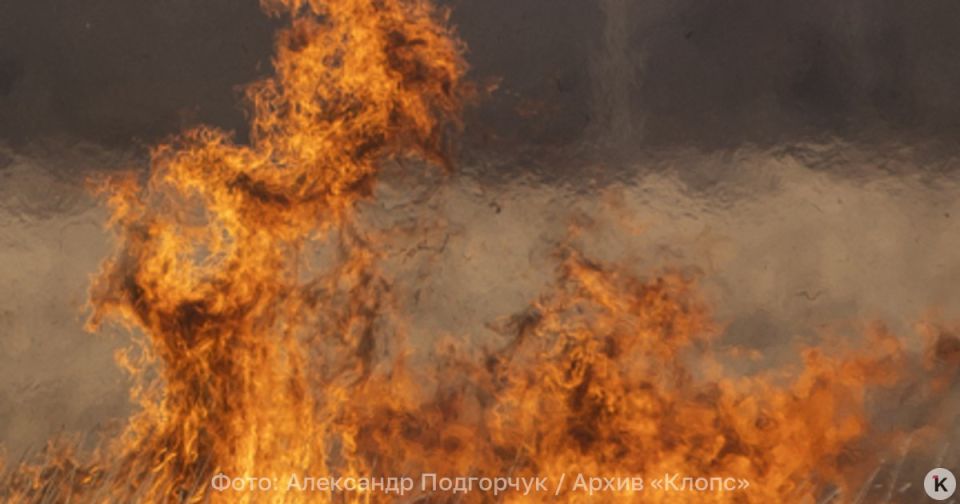 � ����� ������ �������� ���� �� ������ ������ ����� ����������������� ����������