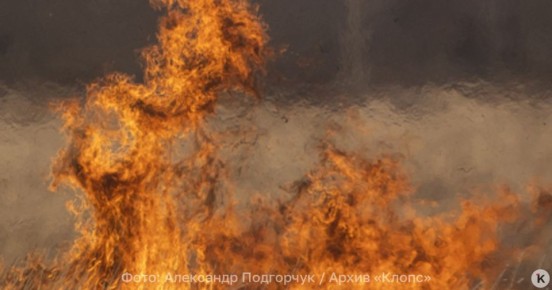 � ����� ������ �������� ���� �� ������ ������ ����� ����������������� ����������