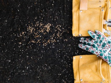 ��� ������� ������: ������, ������� ������� �������� �������������