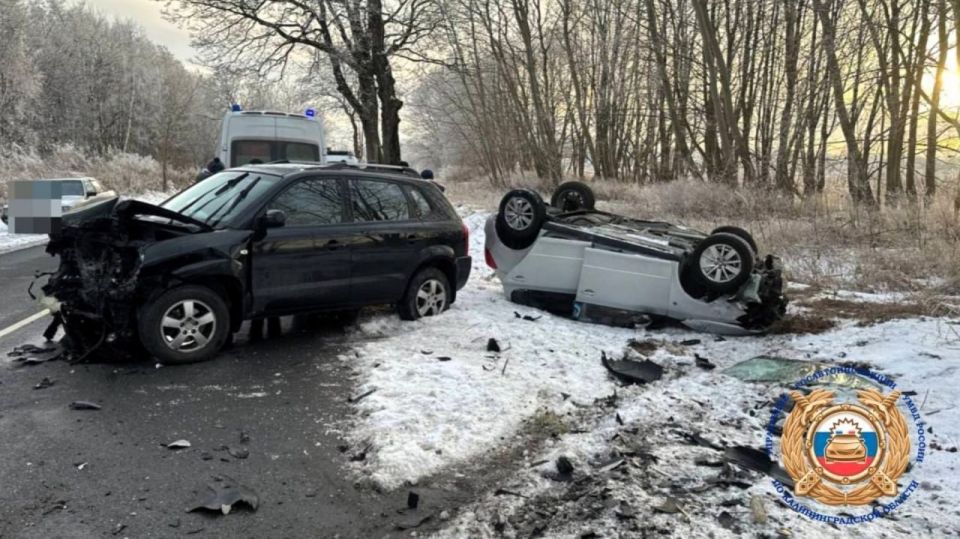 �� 62 ��������� ���������� �������������-�������� ����� ����������� ����������� ������ ��������� ������������ ���� ������������ �������