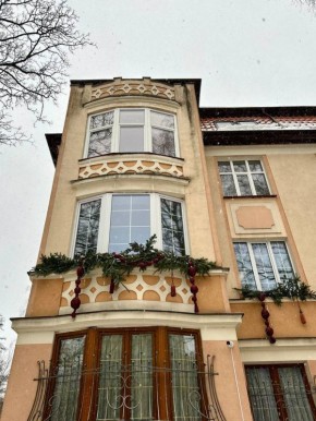 Посмотрите, как украшены окна на улице Красной в Калининграде