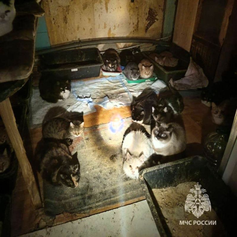 � ������������ ������ 50 ����� � ������ � �������� �������� �� �������� �������� ����