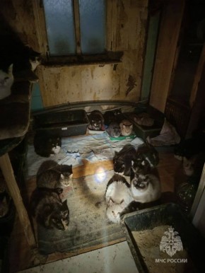 ���������� ��� ������ 50 ����� � ������ ��� ������ � ������������