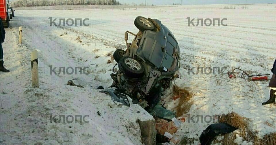 ����� ������������ ��� ��� ����������� ��������� ��������� �� ������ ���� �������� (����)