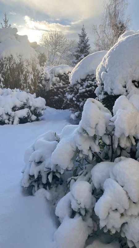 ������ � ������������ ������: ����������� �������� ����� � ����������� �����������