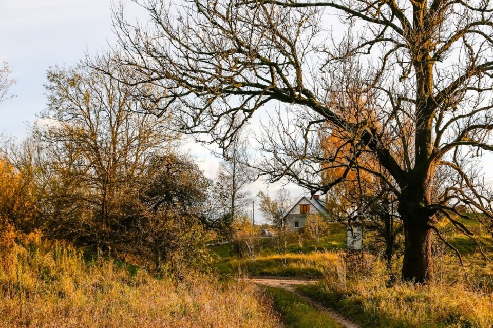 ���������� ������: ��� ��� ������ ����������� � ��������� ��������