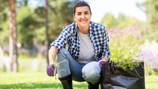 �� ��� ����������� ���� ������: ��� �������, ��� ����� � ��� ������