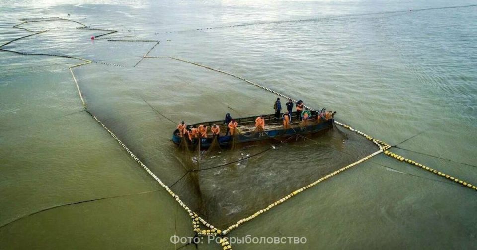 ������ ��������� ���������� ������� ����� � �����