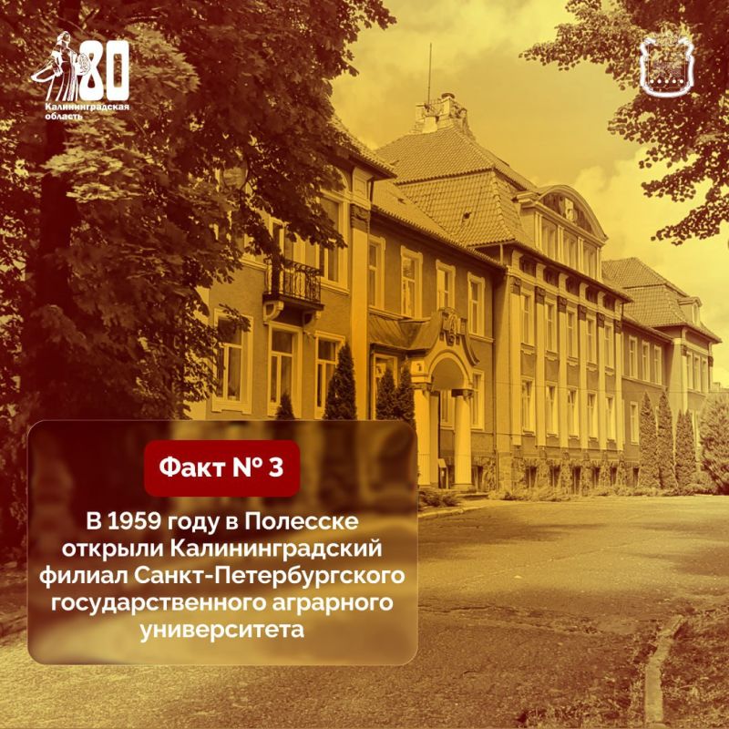 ������ ����������� � ������� ����� �������� �� ������ � ������������