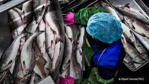 ������ ��������� ������� ��������� �� ������ ������������� �������, �������� � ��������������