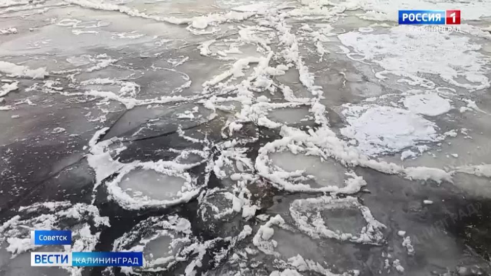 �������� ������ ���� ��� �� �������� ��������������� �������