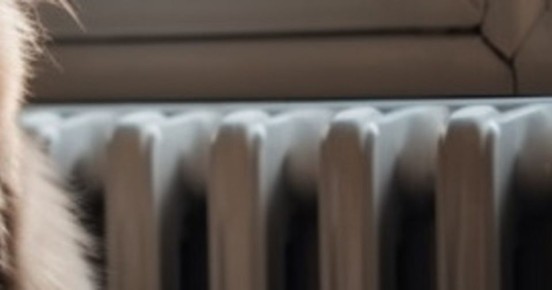 ����� ����� �� ��������� ����� ������ �� �������� � ������ �������