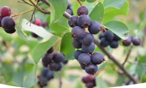 ����: ������� �������� ������� � ����� �� ���� ������������� �����������