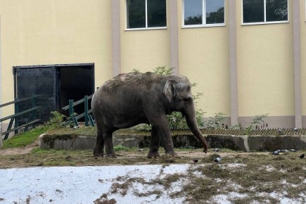 �������� �������� ����������, ��� ����� �������� � ��������������� �������� ����� ��������� ����� ����