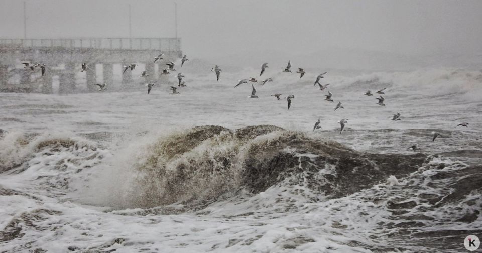 ����� ���� ����: ������ � ������������ � ������� � �����������