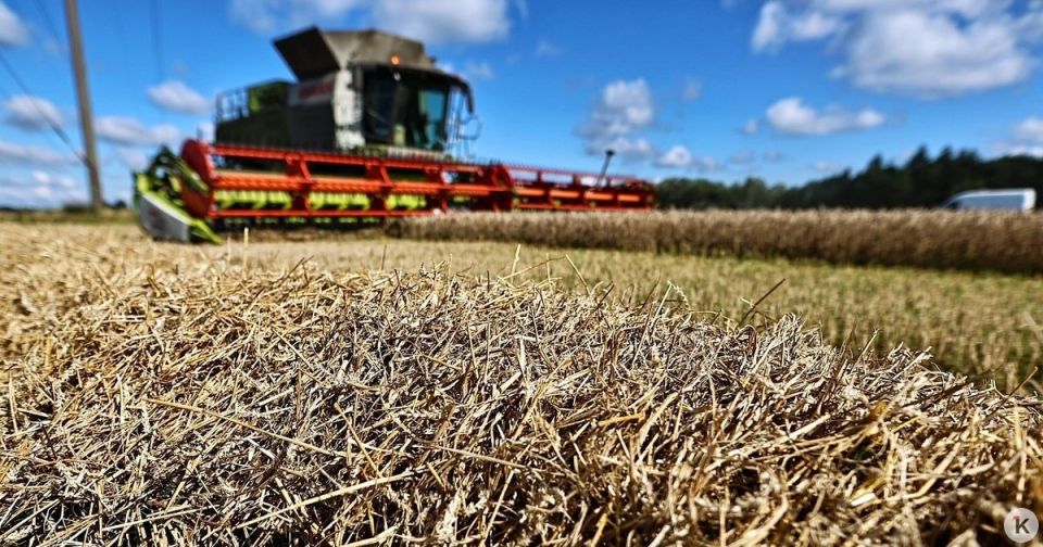 � ����� ���� ������ ������� ���������� ������� �� ������� �������������������� ���������