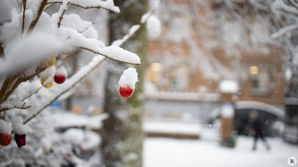 ������� � ������������ ������������ ����� ���� ����