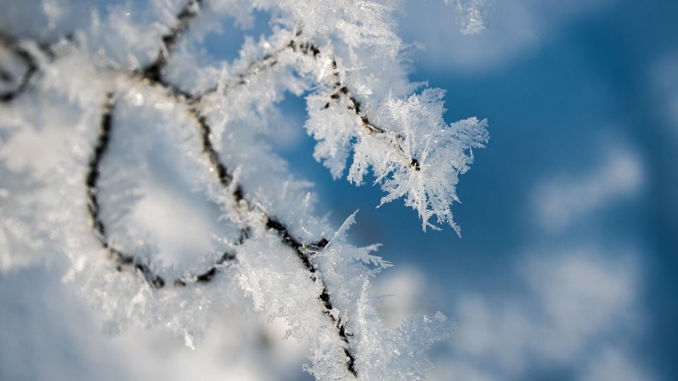 � ������������ ������ ������� ������ � ����������� ���� �������� � ������� �������, � ���������� �����������