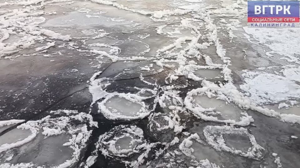 �������� ������ �� ������. ������ �������� �������� ������ ���� � ������������, ��� ���������� ��������� ��