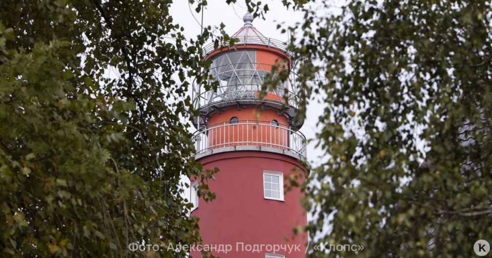 � ���� ��������� ��������� �������� 29 �����, ���������� ��������� ����