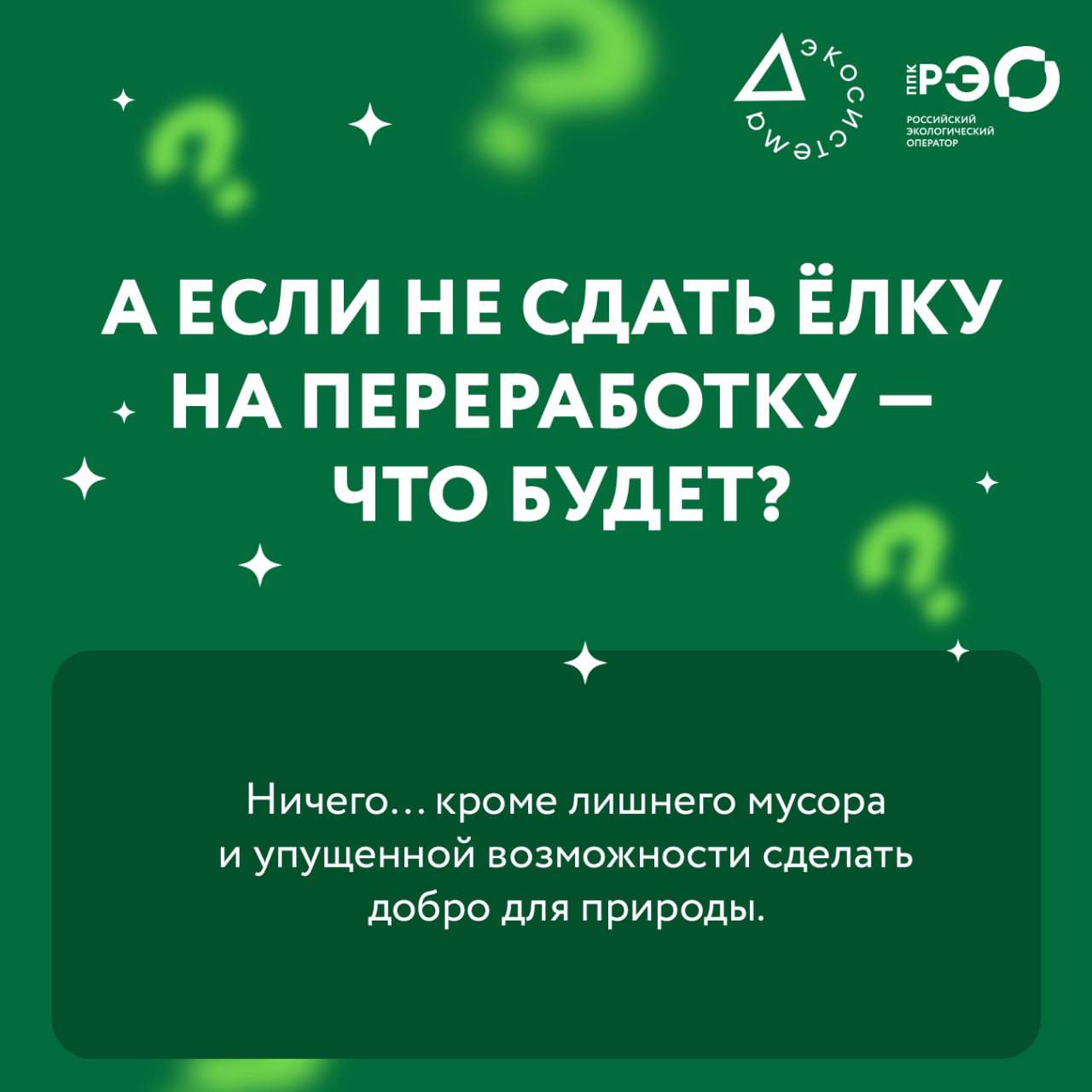 Ёлка после праздников — и сразу куча вопросов в голове? Ёлка после праздников — и сразу куча вопросов в голове?