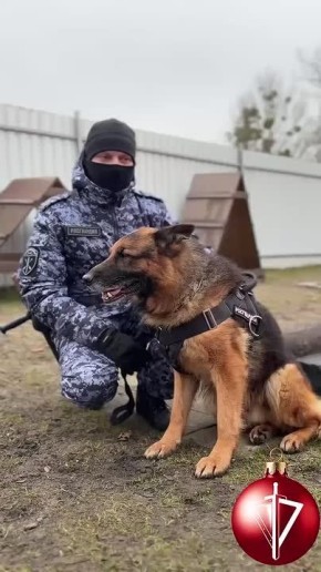 ��� ����� ����� ������, � ���������� ��������