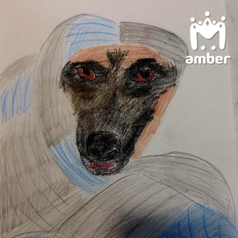 ��� ��������� �������� ��������� ��� � ����� ��������