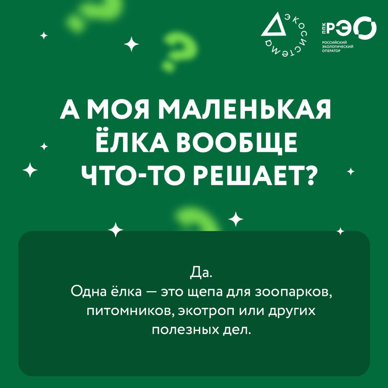 Ёлка после праздников — и сразу куча вопросов в голове? Ёлка после праздников — и сразу куча вопросов в голове?