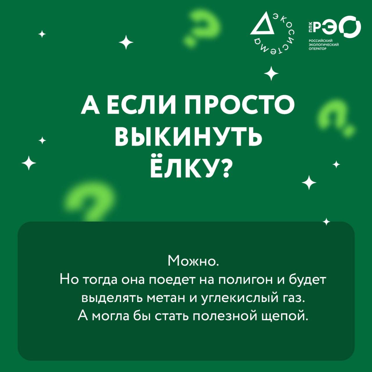 Ёлка после праздников — и сразу куча вопросов в голове? Ёлка после праздников — и сразу куча вопросов в голове?