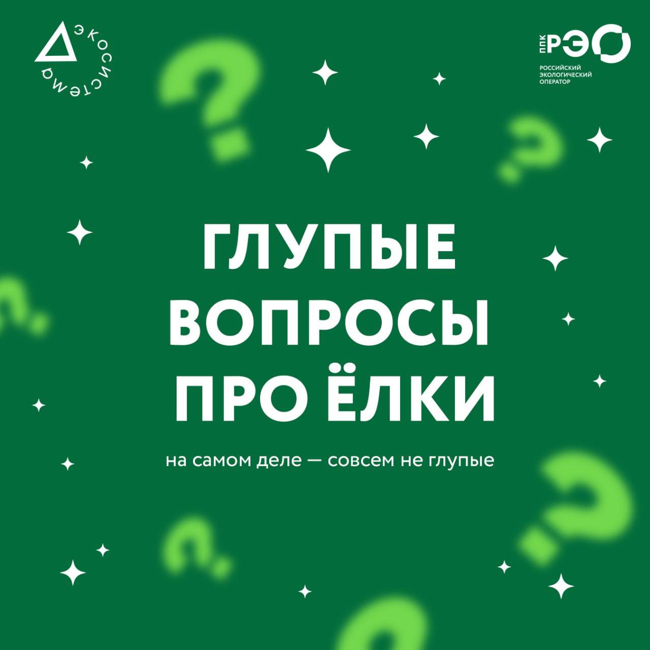 Ёлка после праздников — и сразу куча вопросов в голове?