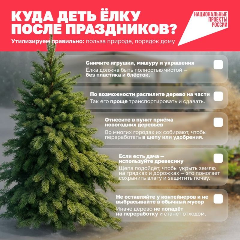 ����: ���� �� ����� ����� ����������