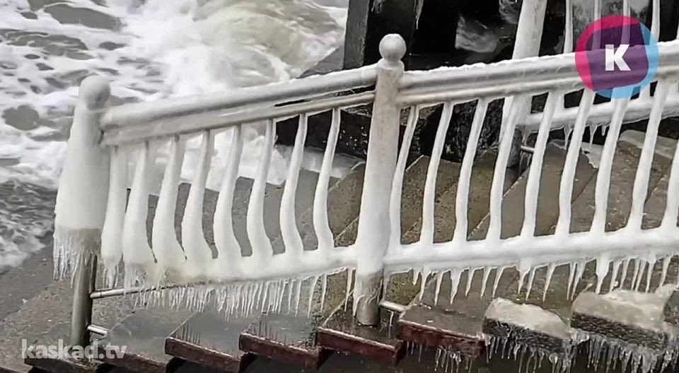 � ������������� �� ������� ������� � ������� ���� ������������ �������� ��������