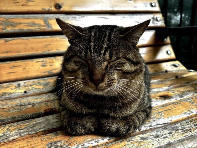 ��� ������ ������� �������� �� ������ ����� ������ ����������