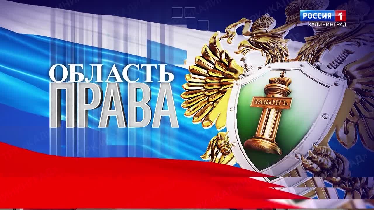12 января в России отмечается День работников прокуратуры