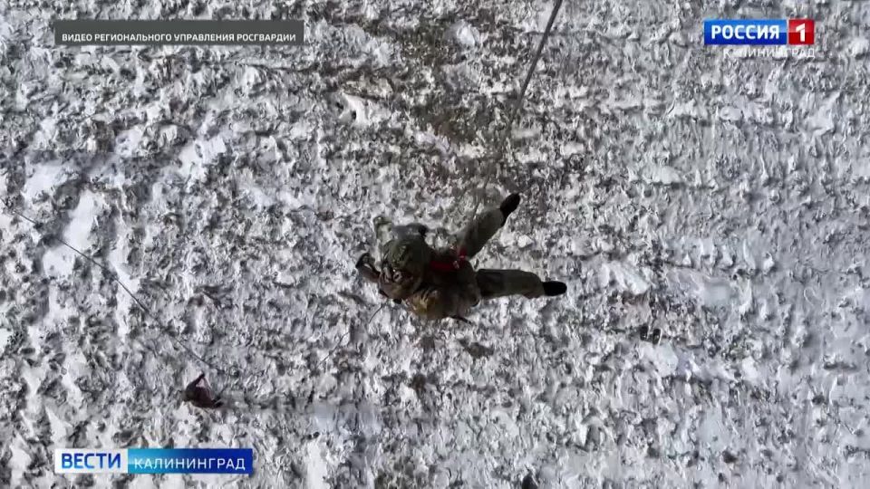 ��������, ��������� ��������, ���������� � ����, ������ ������ ��� �����