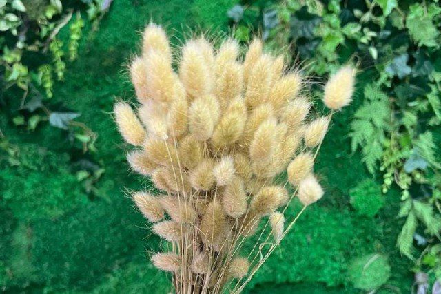 � 2025 ���� � ��������������� ������� ����������� ������������ ������������ ����������