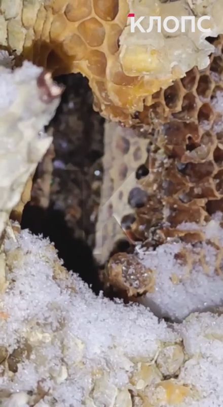 � ��������� ��� ���� ��������� �� ������� ����� ��� ������