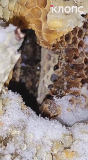 � ��������� ��� ���� ��������� �� ������� ����� ��� ������