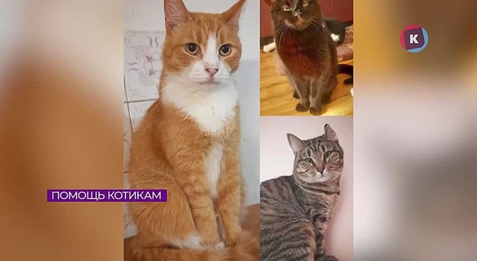 ��� �������, ��������� �� ����� ������ �� ���������, ������� � �����