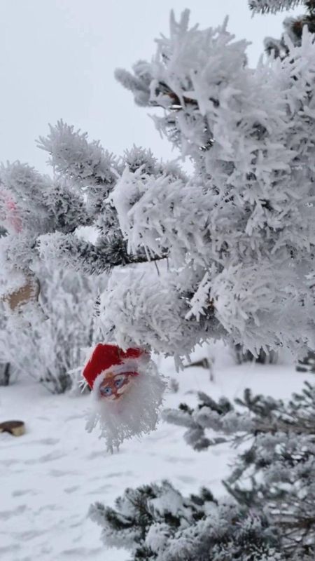 ��������������� ������� ���������� ���������� �� ������ �������� �����